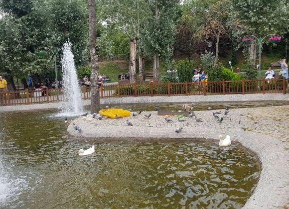 kugulu park hakkinda tavsiye ve yorumlar taze yorum